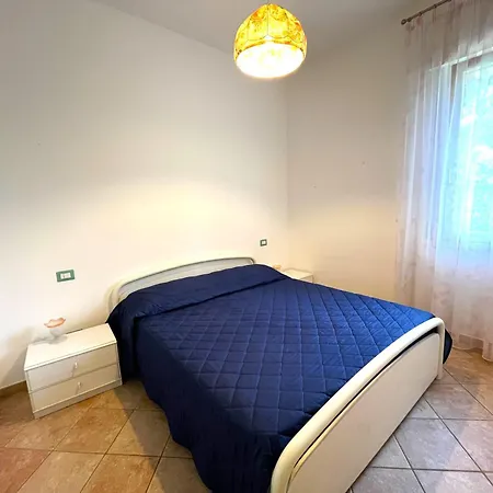 Dogi Nord F1 * ביביונה