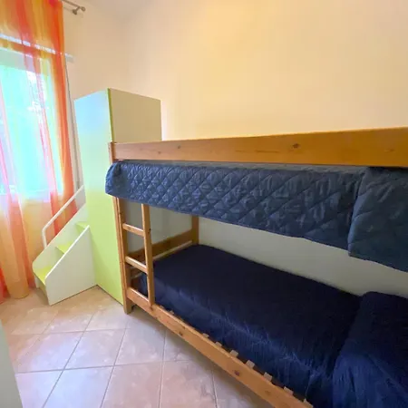 Dogi Nord F1 * ביביונה